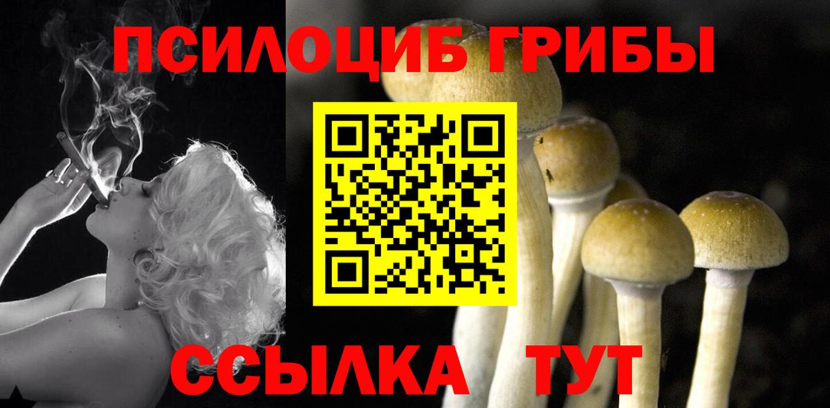 Галлюциногенные грибы Psilocybe  Галлюциногенные грибы Psilocybine cubensis  Красный Сулин  хочу наркоту  Вход с VPN 